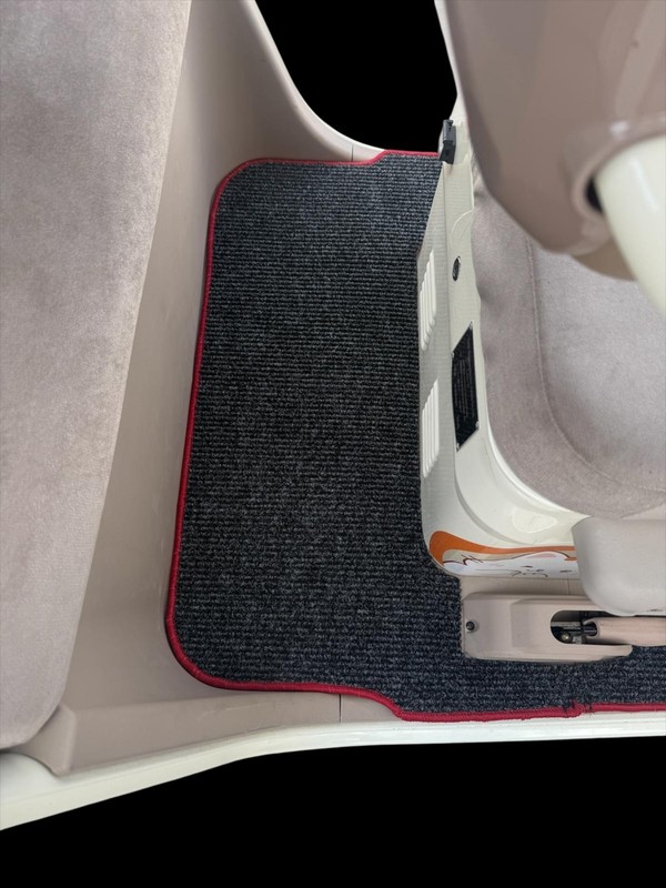 Elektrikli Motosiklet Aksesuar Koruyucu Paspas Arora Angel Pro Üç Tekerlekli Motosiklet Uyumlu Renk Seçenekli - Görsel 3